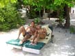 Foto088
